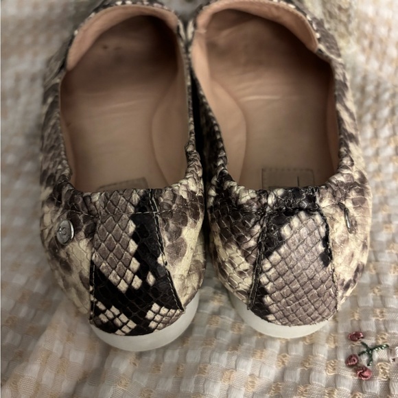Agl Pointed Toe Snake Print Loafers in Beige and Black - Picture 4 of 12
